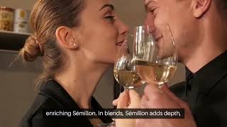 Semillon vs Sauvignon Blanc Guide [upl. by Bertine]