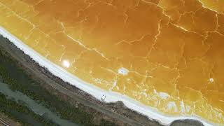 Salt ponds in Newark California [upl. by Adnamar406]