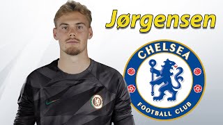 Filip Jorgensen ● Chelsea Transfer Target 🔵 Best Saves [upl. by Bradman746]