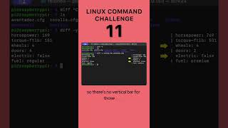 Level 11  Linux Command Challenge tech shortsvideo challenge [upl. by Enaek170]