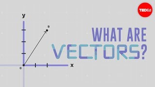 What is a vector  David Huynh [upl. by Littell]