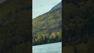 KENAI RIVER ALASKA [upl. by Liag]