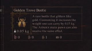 Dragons Dogma 2 Golden Trove Beetle Location Ruined Settlement [upl. by Elyse]