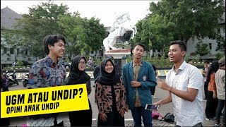 PILIH UGM ATAU UNDIP  OPINI ANAK UNDIP [upl. by Spindell]