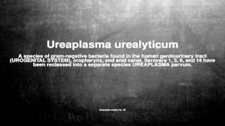 Medical vocabulary What does Ureaplasma urealyticum mean [upl. by Aleuqahs841]