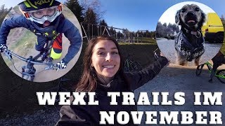 Downhill Biken auf den Wexl Trails im November l Traildog l Freeride l VLOG 62 MISS PEACHES [upl. by Ifen]