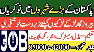 Biggest Jobs Opportunity in Pakistan Multiple Jobs Vacancies How to Apply [upl. by Athene]