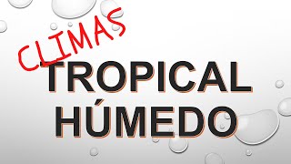 Clima TROPICAL HÚMEDO en 1 minuto [upl. by Neehsas]