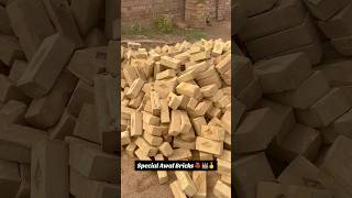 claybricks bricks bhatta brickkiln zigzagbhatta goldbricks buildingmaterials construction [upl. by Liagabba]