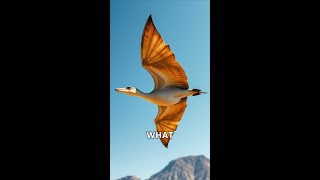 The Amazing World of Pterosaurs [upl. by Daeriam]