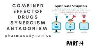 synergism antagonism combined effect of drugs pharmacodynamics generalphramacology [upl. by Nolita]