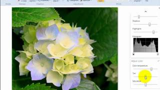 How to edit photos with Windows Live Photo Gallery [upl. by Ydissahc124]