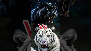 Black panther vs animals  white tiger vs Wolf animals animalstories animatedstories tiger ai [upl. by Ahcsap]