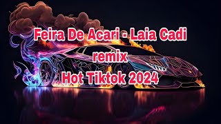 Feira De Acari  Laia Cadi remix  HOT DOUYIN 2024 [upl. by Plunkett841]