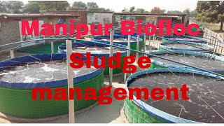 part6 manipur biofloc sludge management  manipur biofloc fish farming [upl. by Lagas668]