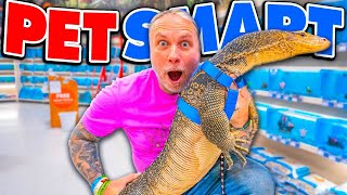 ¡Llevo a Mi Lagarto Gigante a Petsmart [upl. by Aidyn387]