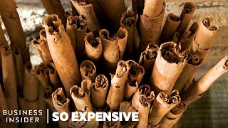 Why Ceylon Cinnamon Is So Expensive  So Expensive [upl. by Iarahs]