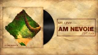 MrLevy feat FDD  Am Nevoie [upl. by Fasa]