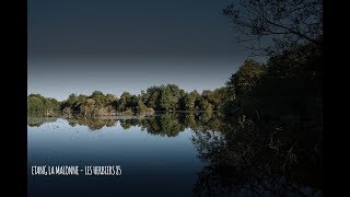 Etang la Malonne  Pêche de la carpe vendée HD [upl. by Sager]