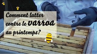 Comment lutter contre le varroa au printemps [upl. by Melisse578]