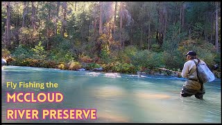 Fly Fishing the McCloud River Preserve California [upl. by Braswell]