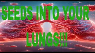 What Happens What happens if a Seed Gets Into Your Lung 😳 facts humanbody science [upl. by Sayre]