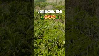 Jamaicans Worldwide Whats The Best Thing About Jamaica 🇯🇲😄 jamaicaculture reggae jamaica ska [upl. by Assirehc]