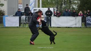 IFR Rottweiler IGP WorldChampionship 2021 Hungary Compilation Thursday [upl. by Feld]