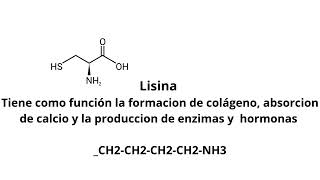 La importancia y los usos de los aminoácidos esenciales y no esenciales 2 [upl. by Dareen]