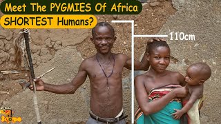 Discover the African Pygmies  Shortest humans in the world [upl. by Westhead654]