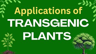 Applications of transgenic plants  Plant biotechnology  GM crops applications [upl. by Adriena]