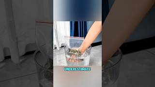 Grandmas timeless life hacks shorts [upl. by Eanahc]