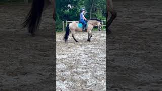 Practiced my beginner novice test today equestrian horse blowup eventer fypシ dressage [upl. by Meeharbi]