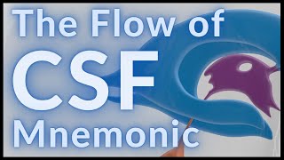 Flow of CSF  MADE EASY [upl. by Pears284]