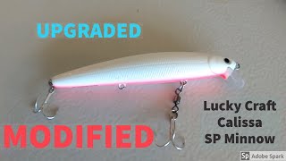 LUCKY CRAFT 110 and CALISSA Flash Minnow  Modification UPGRADE [upl. by Sears]