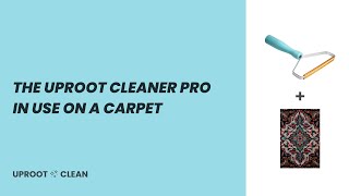 The Uproot Cleaner Pro™ in use on a carpet [upl. by Haswell]