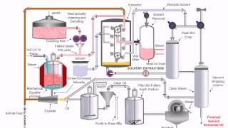 Chemical CPT vegetable oil extraction method [upl. by Missak]