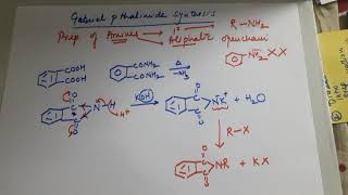 Gabriel pthalimide synthesis for Amines [upl. by Rubinstein478]