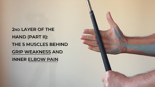 Second Layer of the Hand Part II The 5 Muscles Behind Grip Weakness and Inner Elbow Pain [upl. by Anyat]