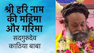 Sadgurudev Kathia Baba II Hari Naam Mahima II Satsang in Hindi II Pune 2020 [upl. by Stoecker]