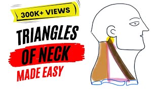 Triangles of neck made easy [upl. by Nellahs595]