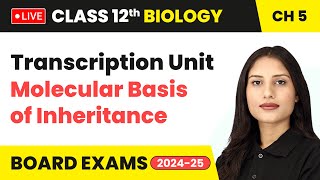 Transcription Unit  Molecular Basis of Inheritance  Class 12 Biology Chapter 5  live [upl. by Rednaeel310]