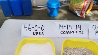 Types of fertilizers commonly used and stages ng pag apply ng fertilizer [upl. by Aek]