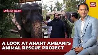 LIVE Anant Ambanis Animal Rescue Mission Unveiled on Jab We Met With Rahul Kanwal  India Today [upl. by Evvie702]