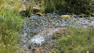 Station Gold 20 Acre Placer Mining Claim on Trout Creek Montana [upl. by Enelyad]