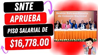 SNTE APRUEBA PISO SALARIAL  16 77800  APRUEBAN POR UNANIMINIDAD [upl. by Netloc]