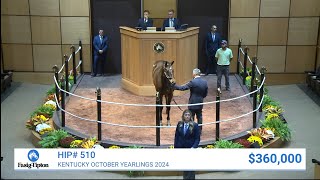 Vekoma colt sells for 360000 at Kentucky October Yearlings 2024 [upl. by Clauddetta]