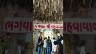 કાસવા ગોગા મહારાજ ના દર્શન trending ytshorts kasva goga darshan om omgurjar new song [upl. by Airotcivairam]