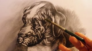 Hoe teken je een hond met de dry brush techniek  dieren tekenen  5 [upl. by Patrizius339]