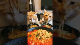 Cute Cat Eating Noodles 😋🍜 shorts subscribe catshub aicat aipetshub cuteanimal [upl. by Newberry]